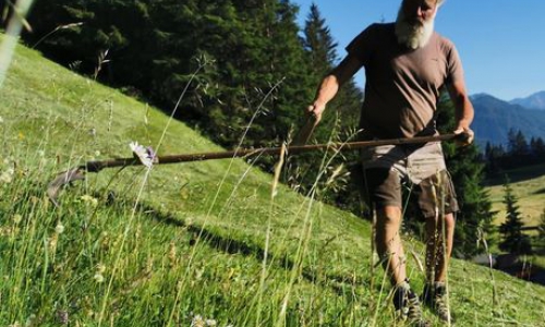 L'histoire de SuperOrganic