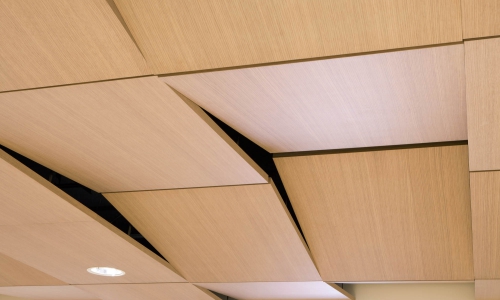 Tectonique 5.5 Ceilings