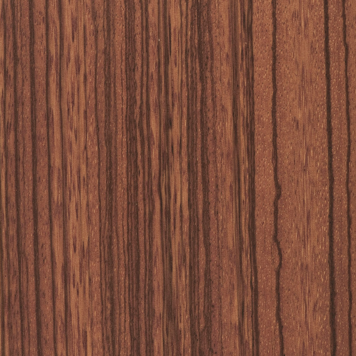 Panel Zebrano T479 - Oberflex wood veneers | Oberflex