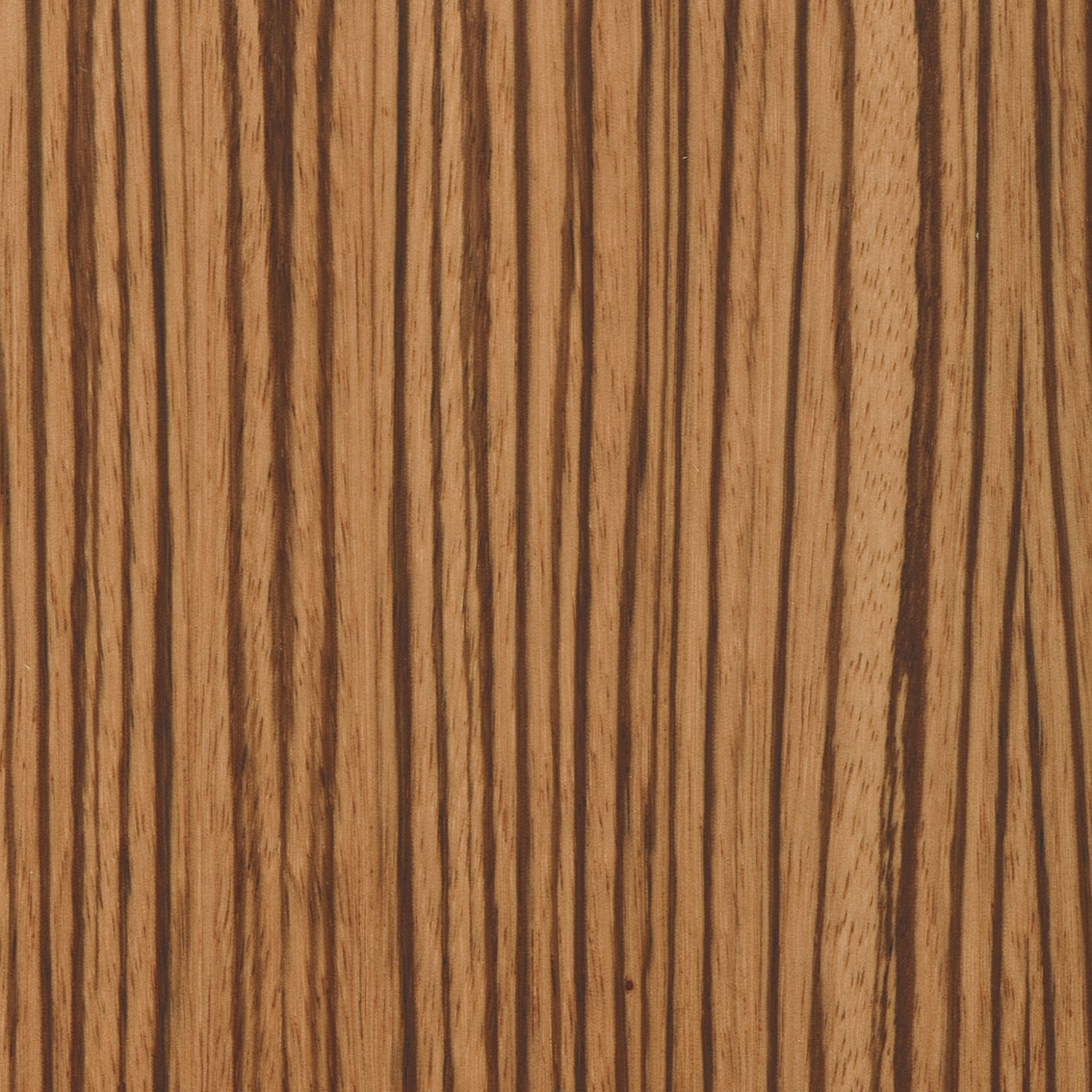Panel Natural Zebrano - Oberflex wood veneers | Oberflex