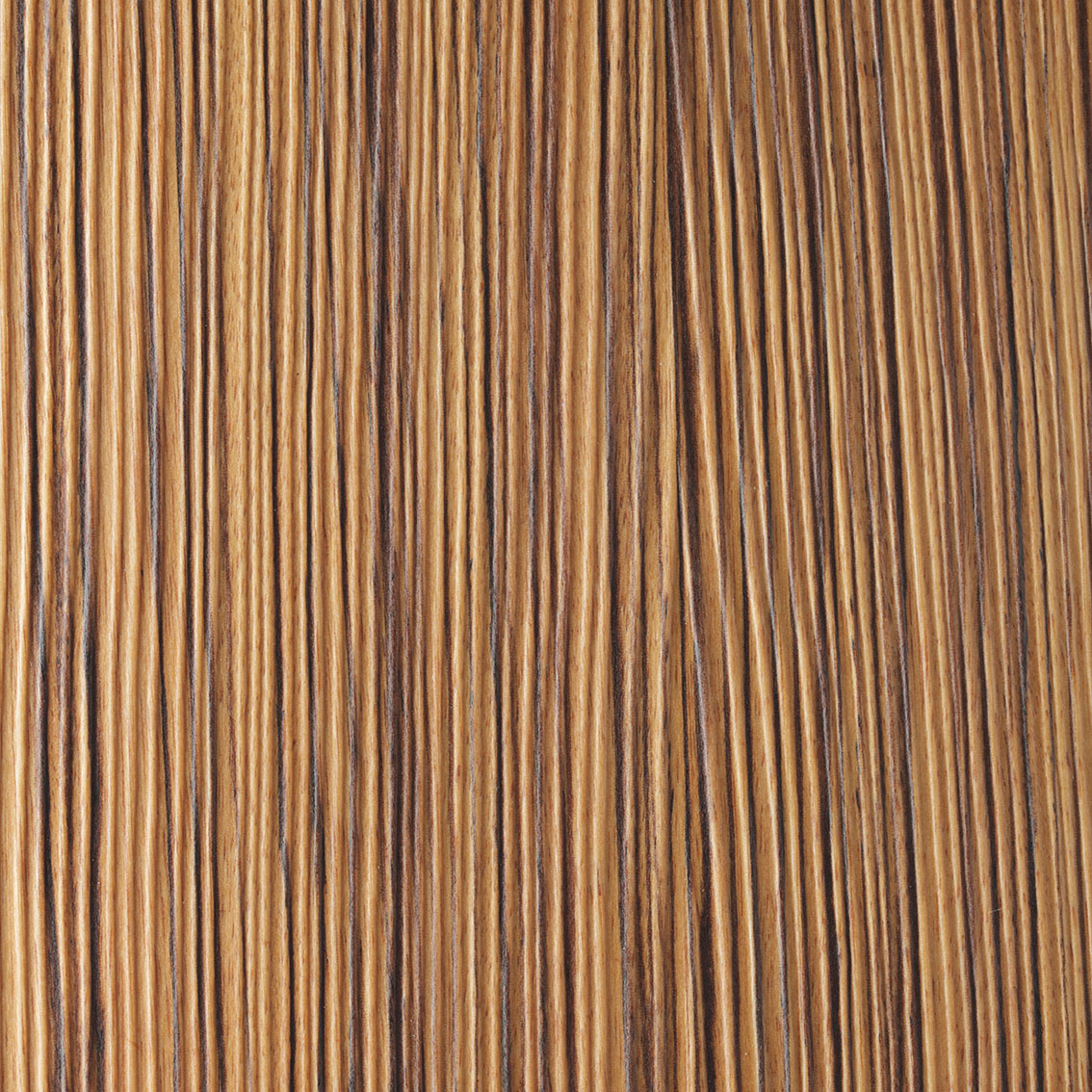 maronページ Panel Natural Zebrano - | Oberflex