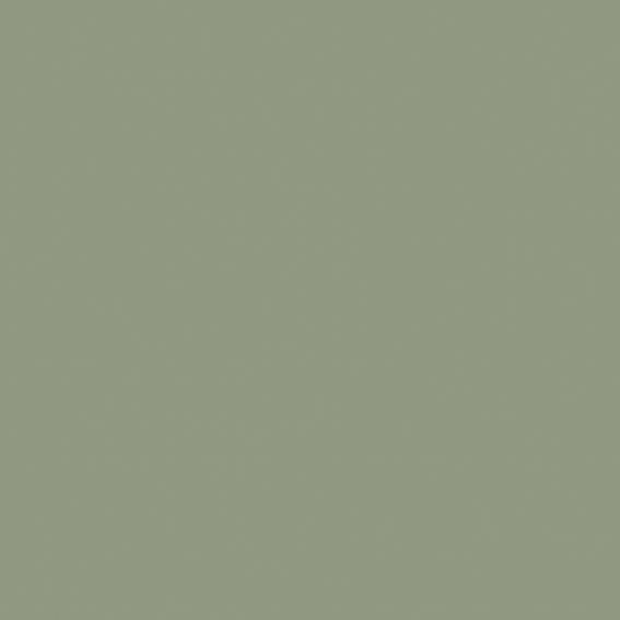 Panel Pale green 018 - Skin