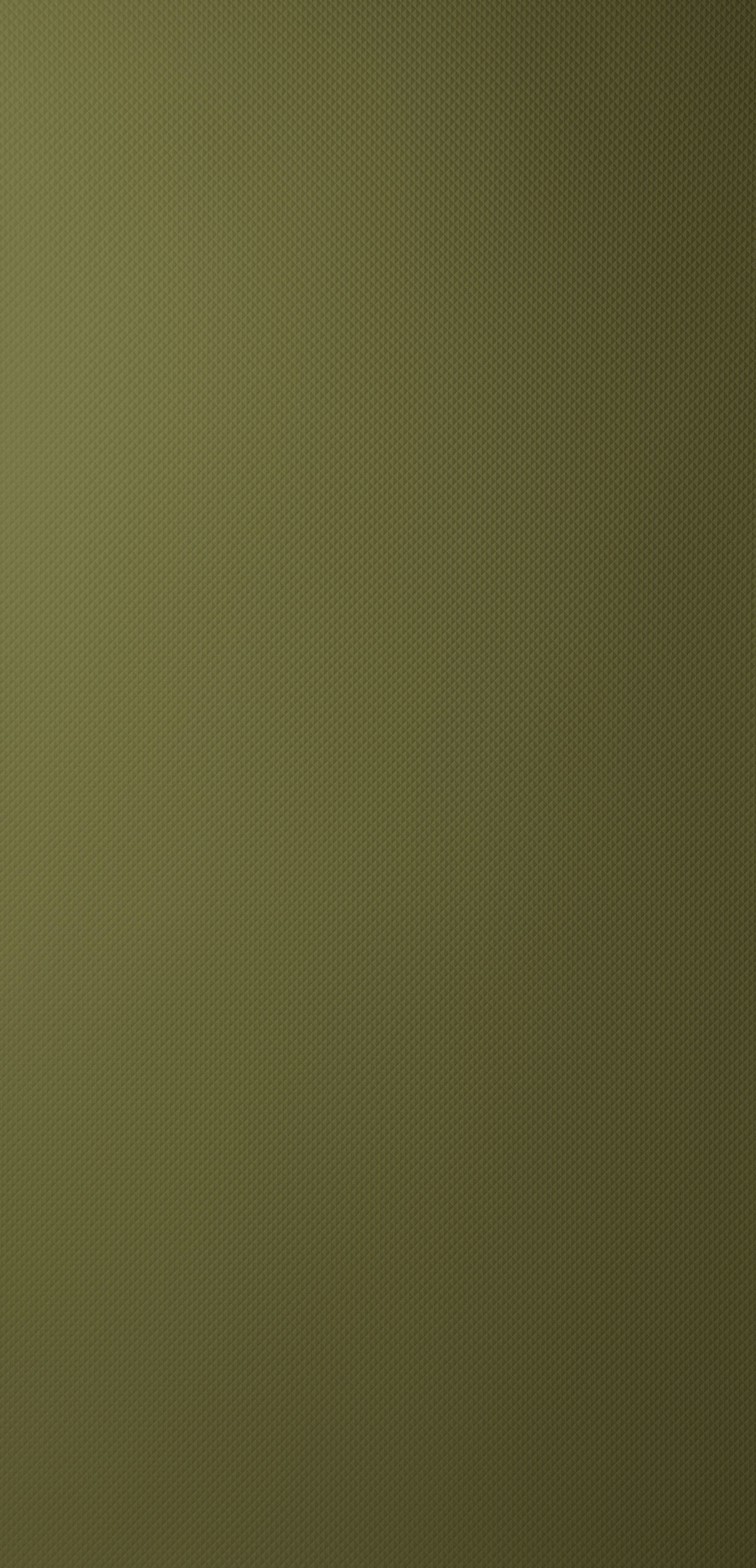 Dark olive 017-panel