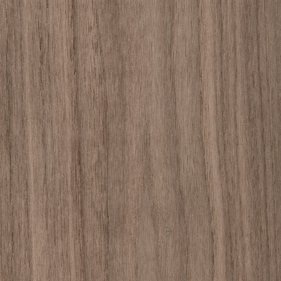 Panel American Walnut - Bioply | Oberflex