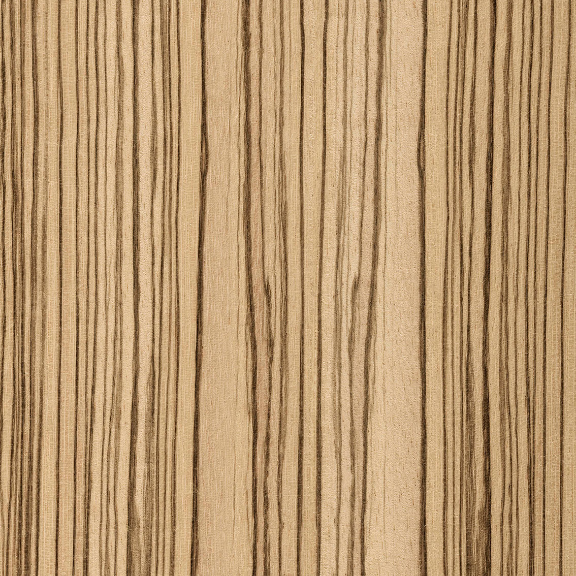 Panel Zebrano - Brut d'Ober | Oberflex