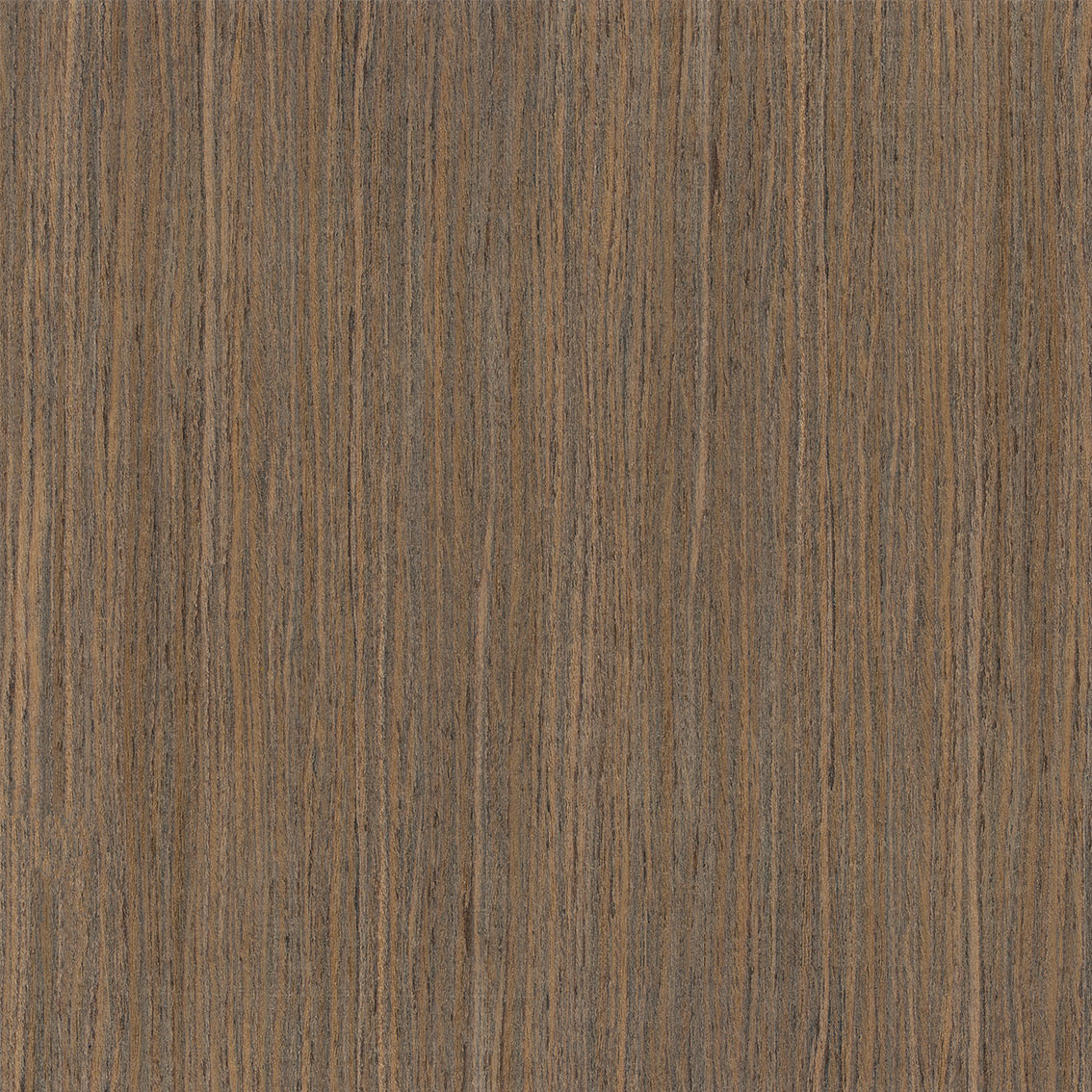 リストわんこグレイト Panel Oak MR2-17 - Reconstituted veneers | Oberflex