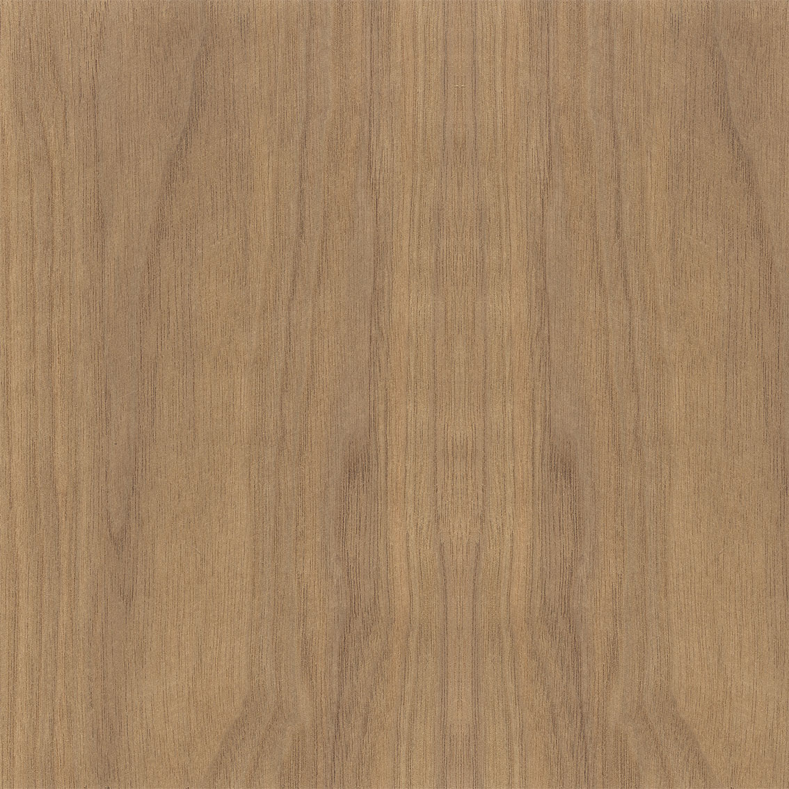 Panel Walnut US Sepium MT12-10 - Dyed natural veneers | Oberflex