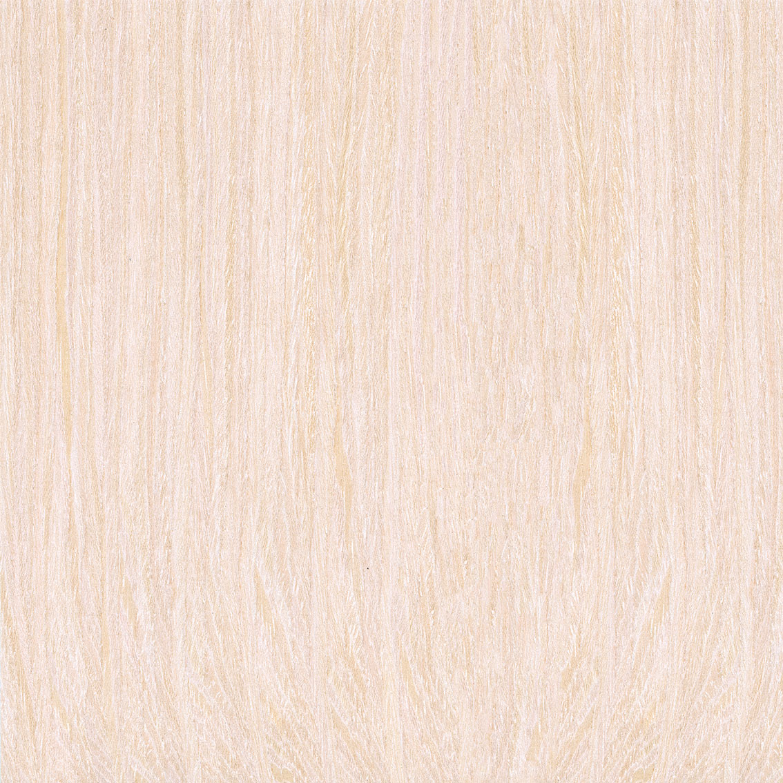 Panel Oak MR2-02 - Reconstituted veneers | Oberflex