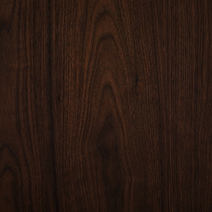 Noyer d’Amérique T9-zoom