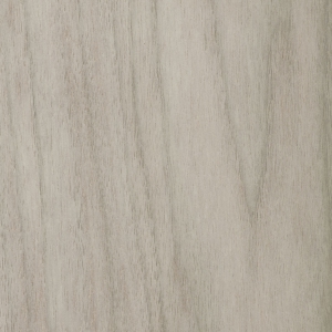 Noyer d'Amérique T160-zoom