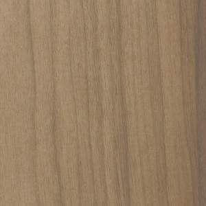 Noyer d'Amérique T292-zoom