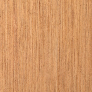 Chêne du Barrois-zoom