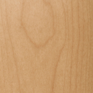 Erable canadien-zoom