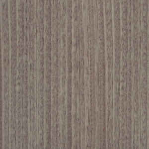 Eucalyptus T311-zoom