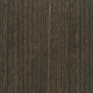 Eucalyptus T331-zoom