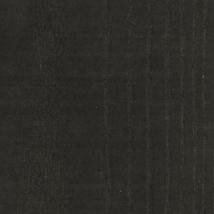 Frêne Excelsior MT4-21-zoom