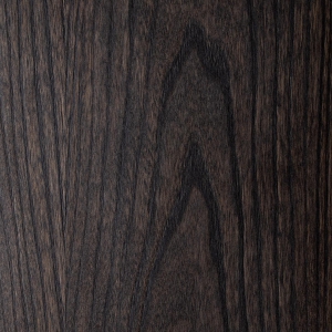 Orme d'Amérique T333-zoom