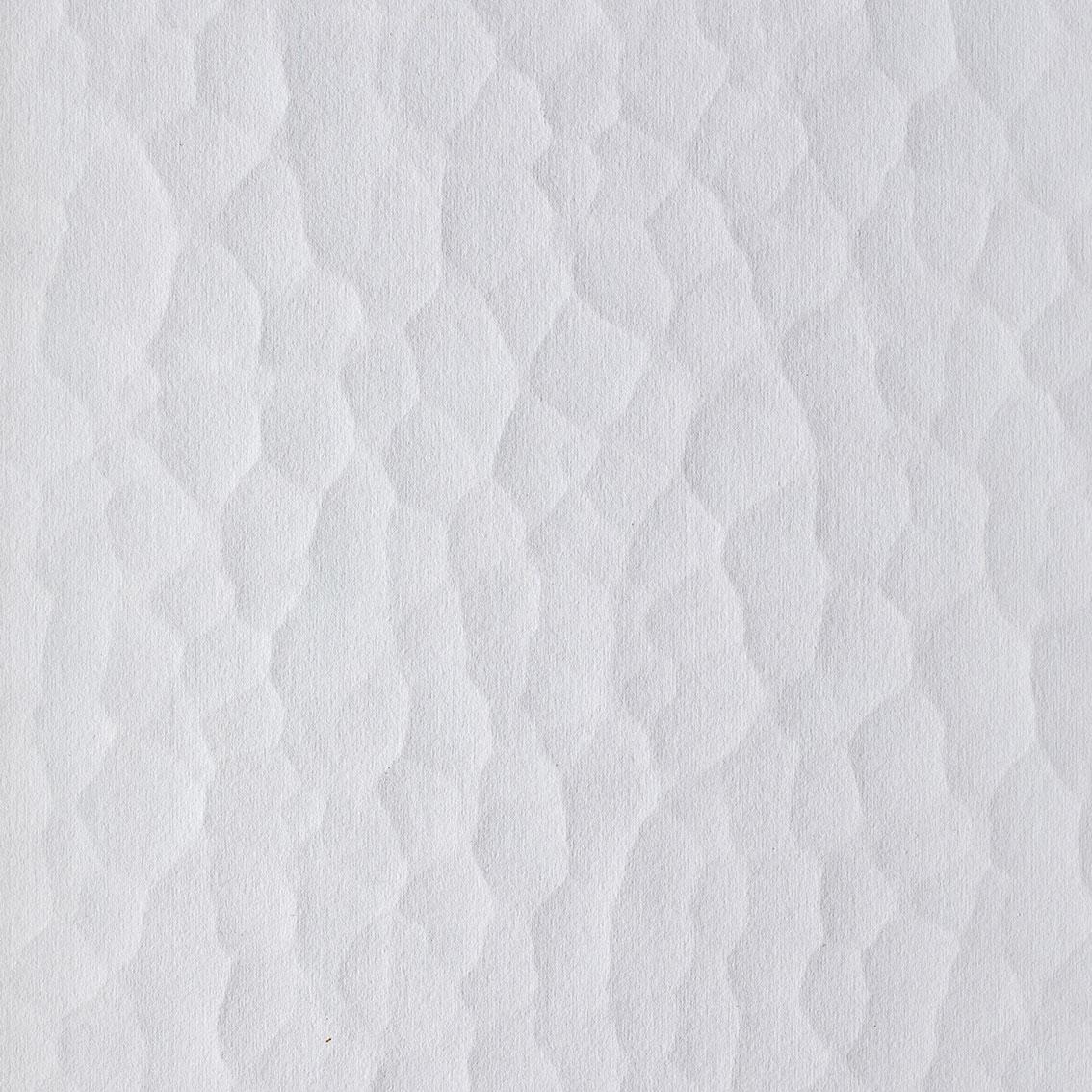 white veneer texture