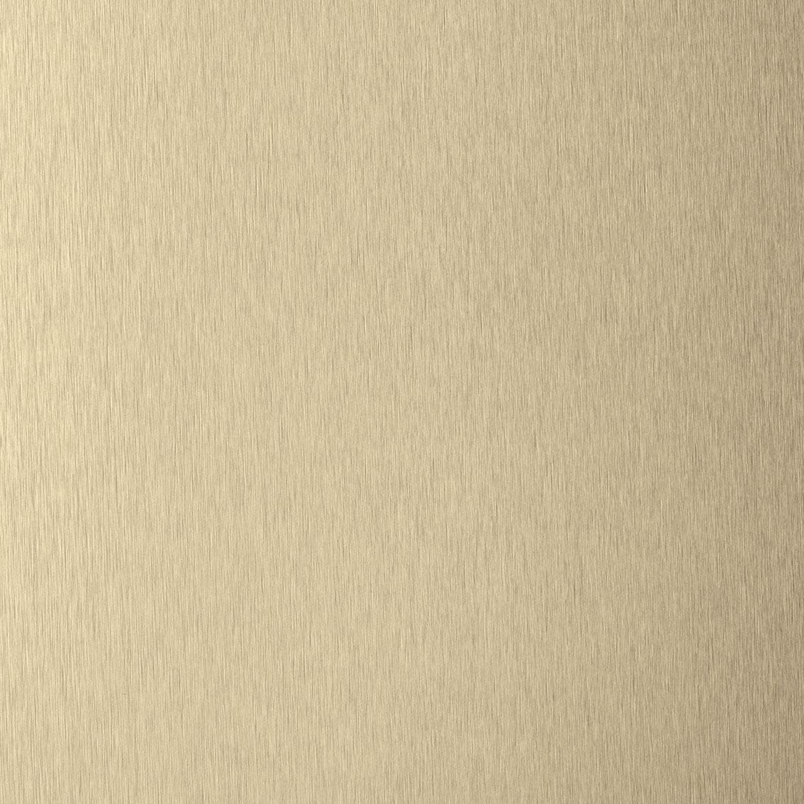 Panel Brushed Brass 4042 - Skin