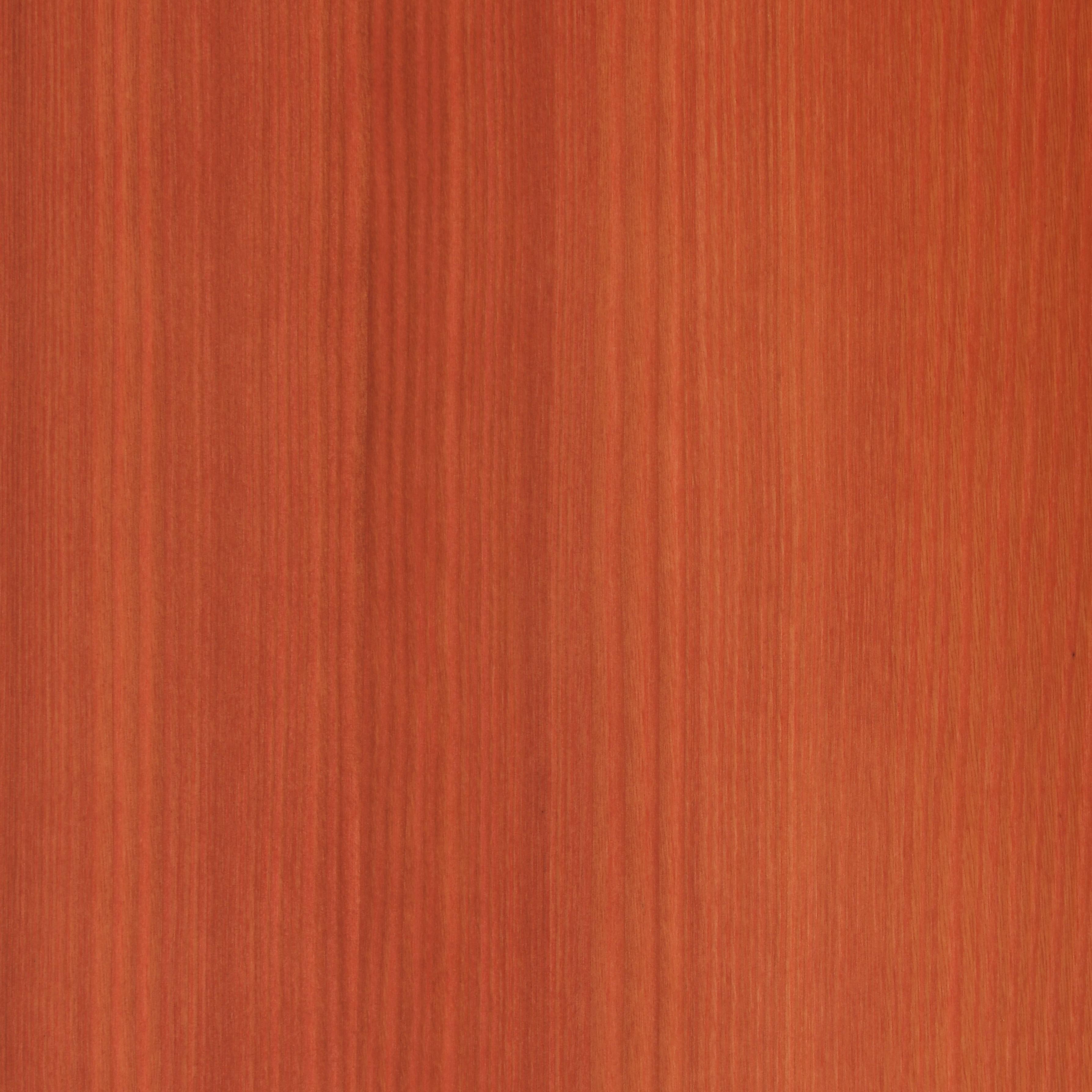 Meleze arbousier-zoom