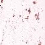 Craie 478-zoom