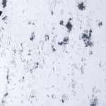 Brume 495-zoom
