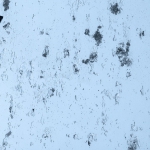 Glacier 480-zoom