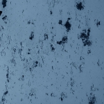 Turquin 481-zoom