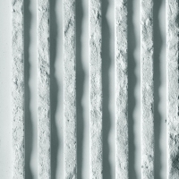Gris naturel 200-zoom