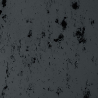 Noir 409-zoom