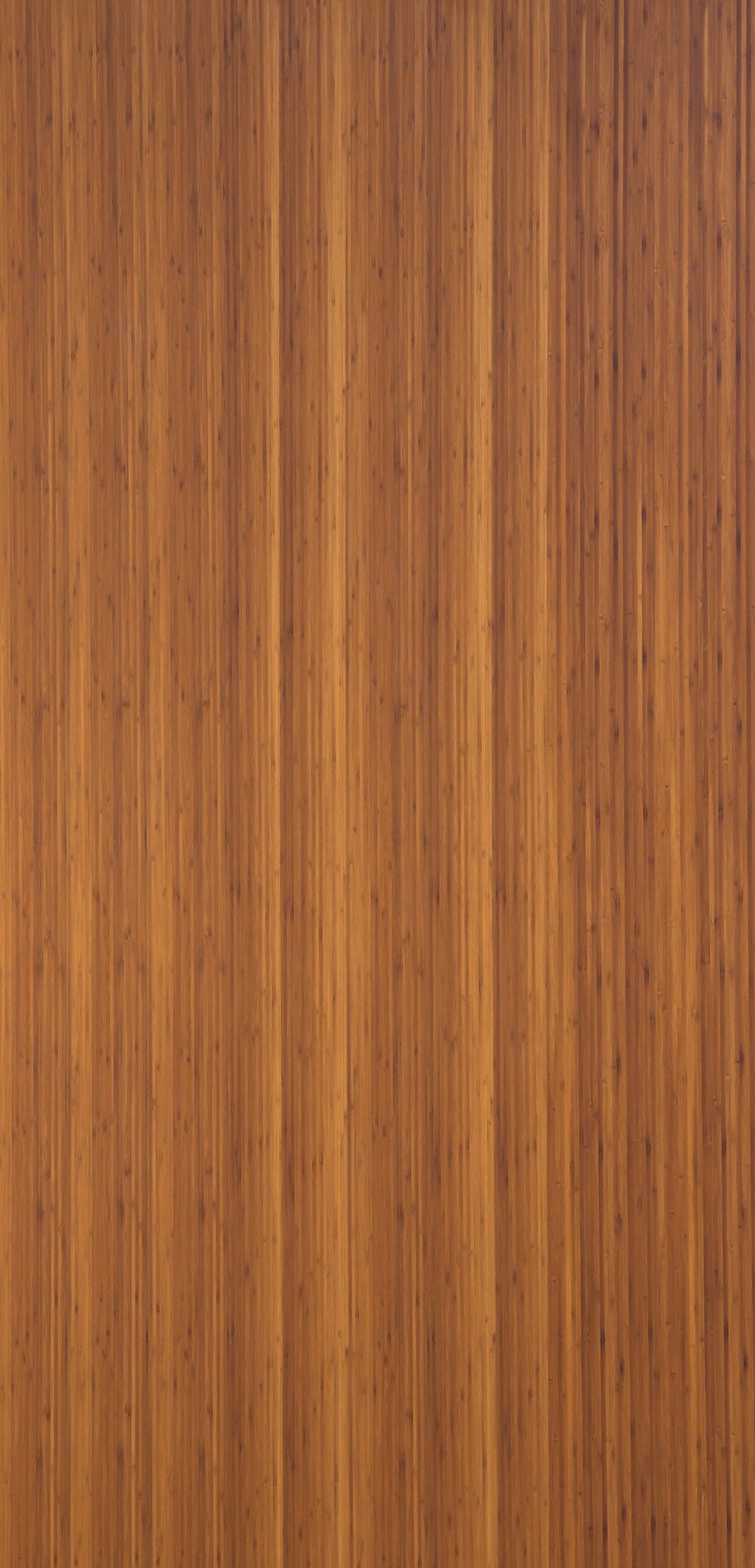 Bambou fin ambré-panel