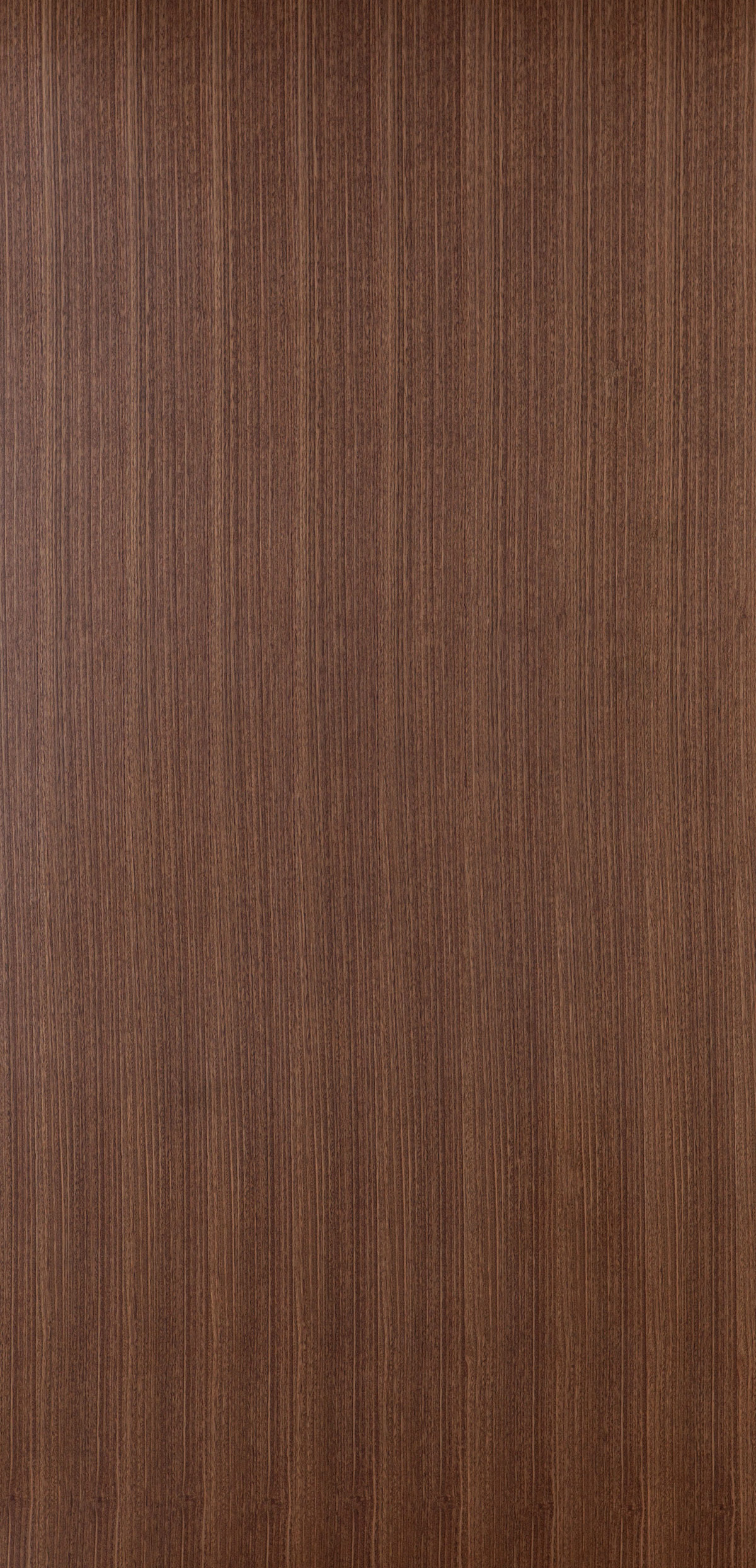 Eucalyptus T326-panel