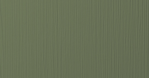 Panel Dark olive 017 - Clawed | Oberflex