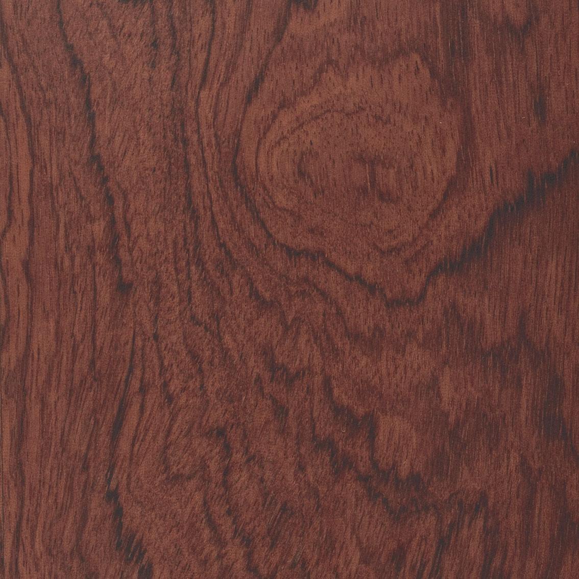 Bogner Burnley BUBINGA WOOD FINISH 限定仕様 BOGNER ( ボグナー