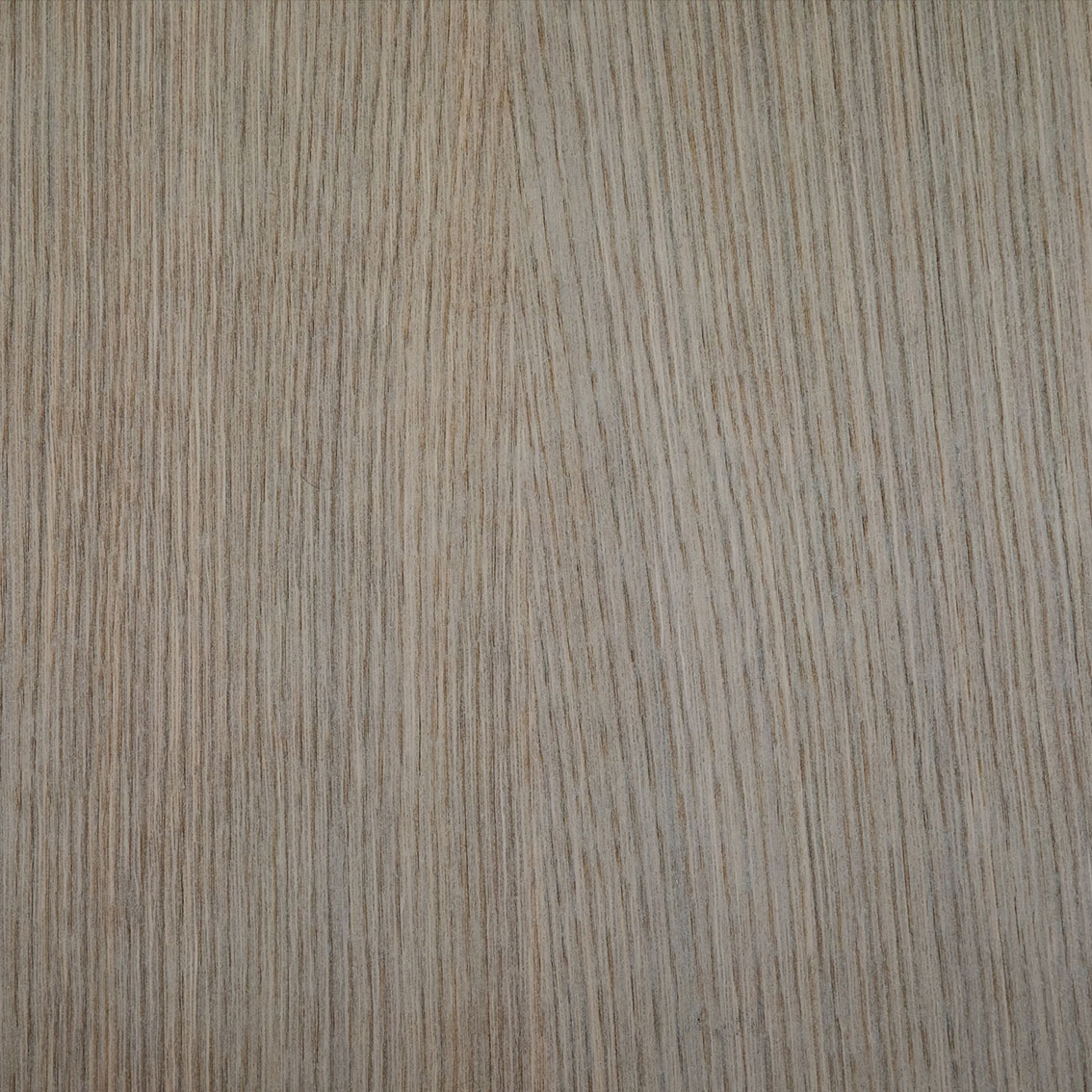 Panel Oak T336 - Oberflex wood veneers | Oberflex