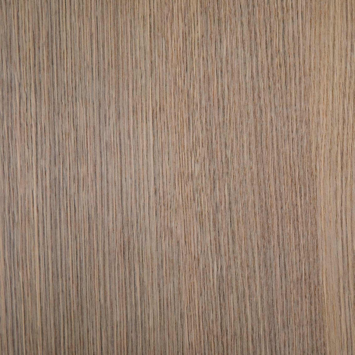 Panel Oak T337 - Oberflex wood veneers | Oberflex