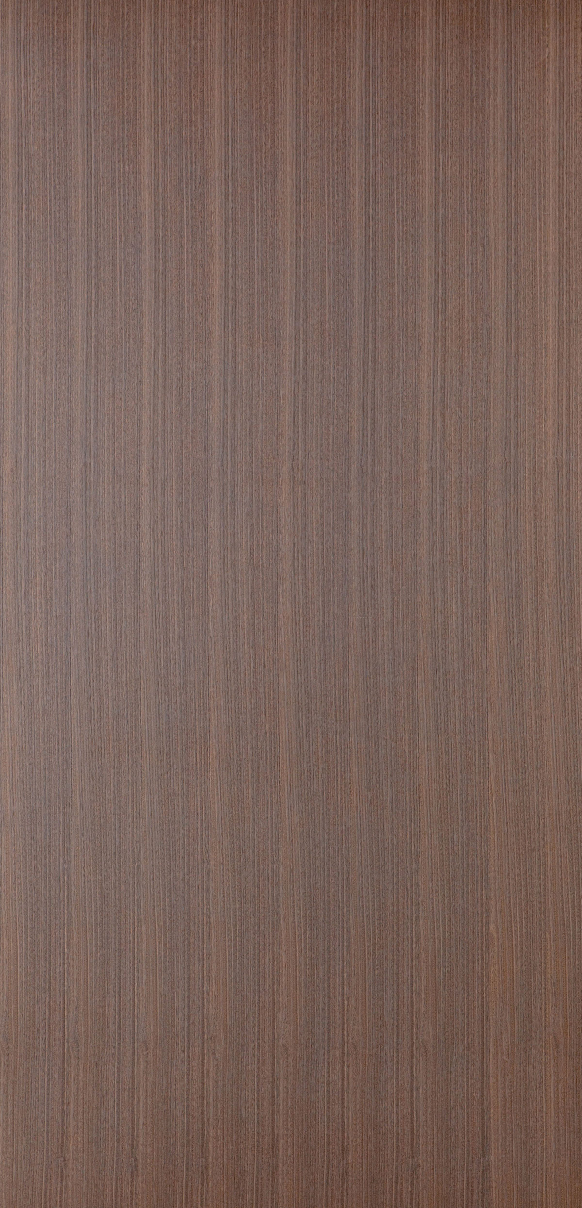 Eucalyptus T311-panel