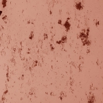 Terracotta 477-zoom