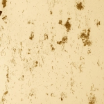 Ocre jaune 420-zoom