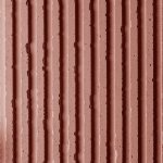 Sienne 436-zoom