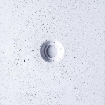 Brume 495-zoom