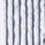 Brume 495-zoom