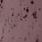 Mars 272-zoom