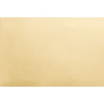 Ocre jaune 420-panel