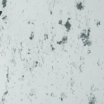 Gris naturel 200-zoom