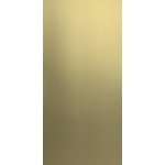 Gougé Brass brushed 4042-panel