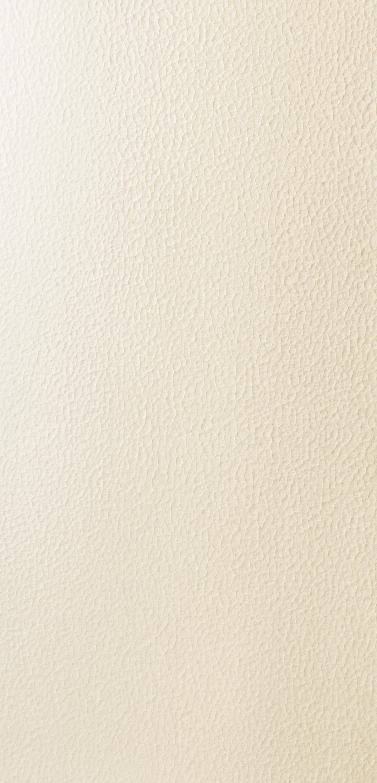 Hammered Ivory 002-panel