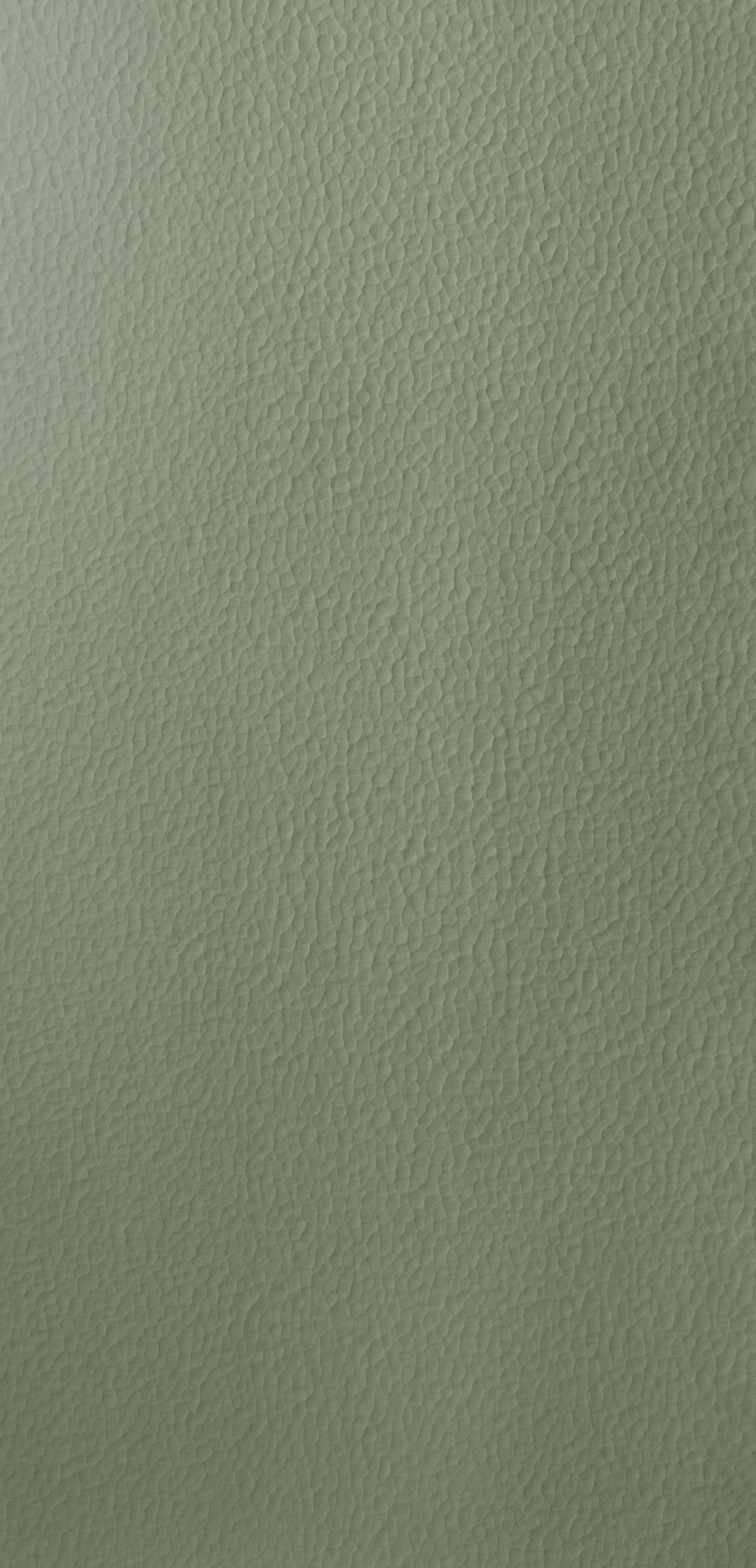 Hammered Pale green 018-panel