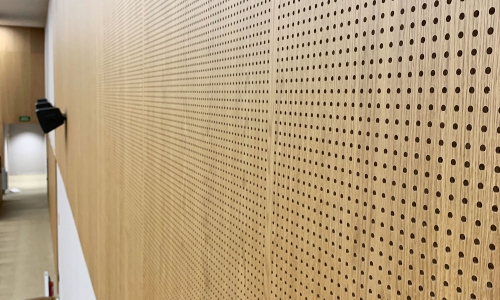 Université CEU Cardinal Herrera_zoommur