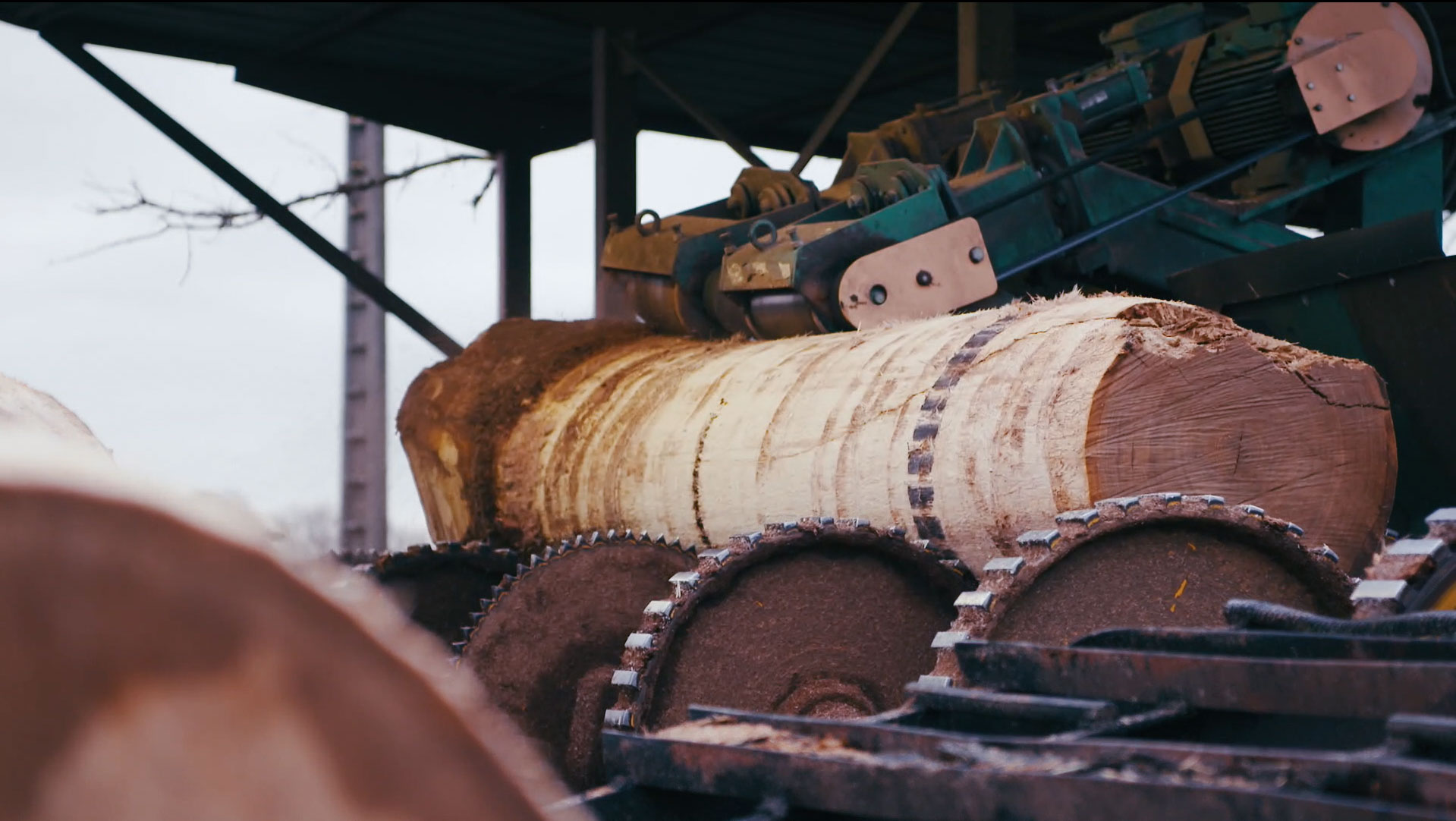 Placage bois, production et fabrication
